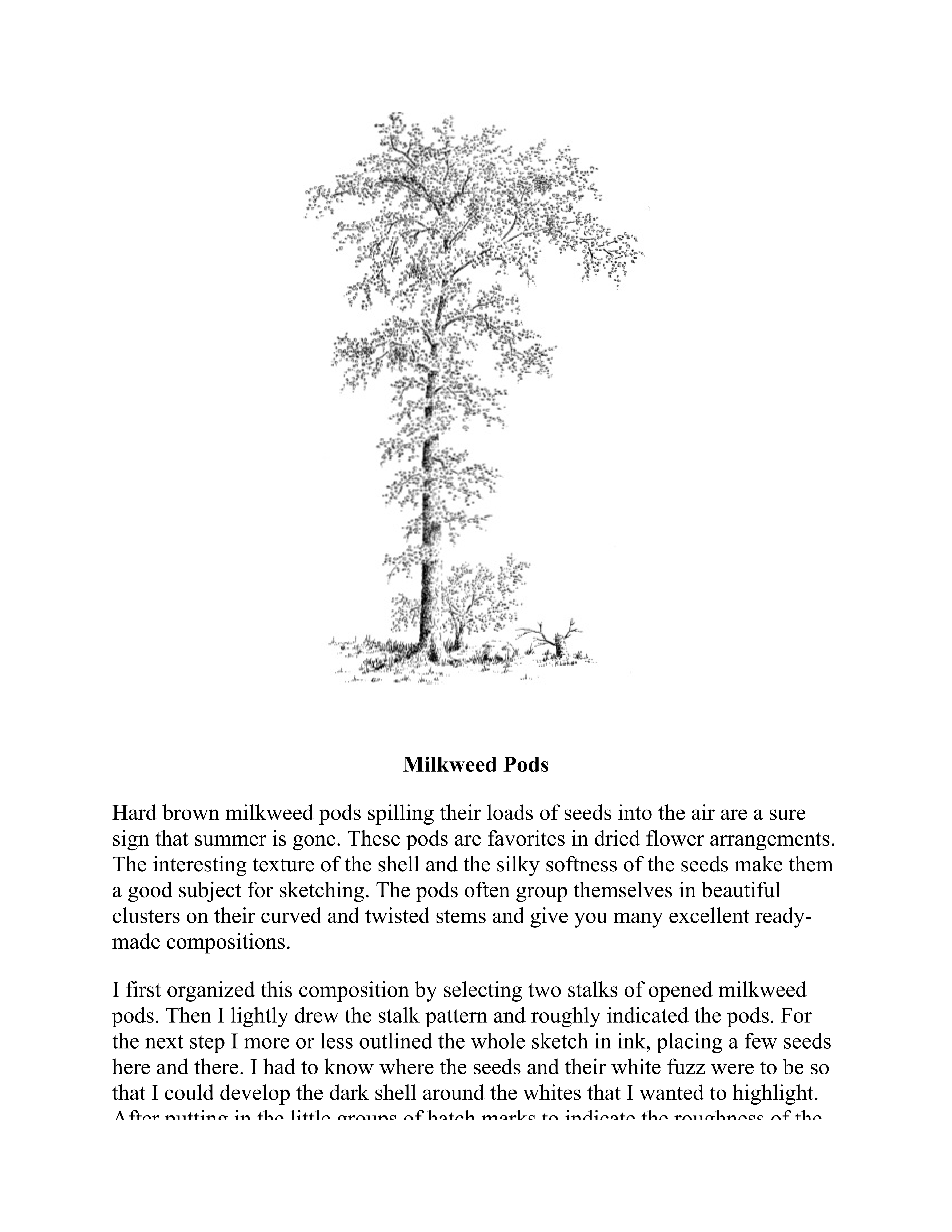 آموزش نقاشی طراحی سیاه قلم شهرری